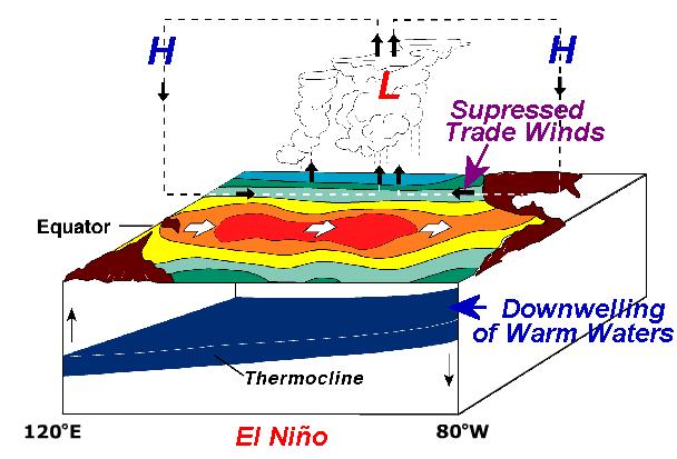 El Ni&ntilde;o dynamics diagram.