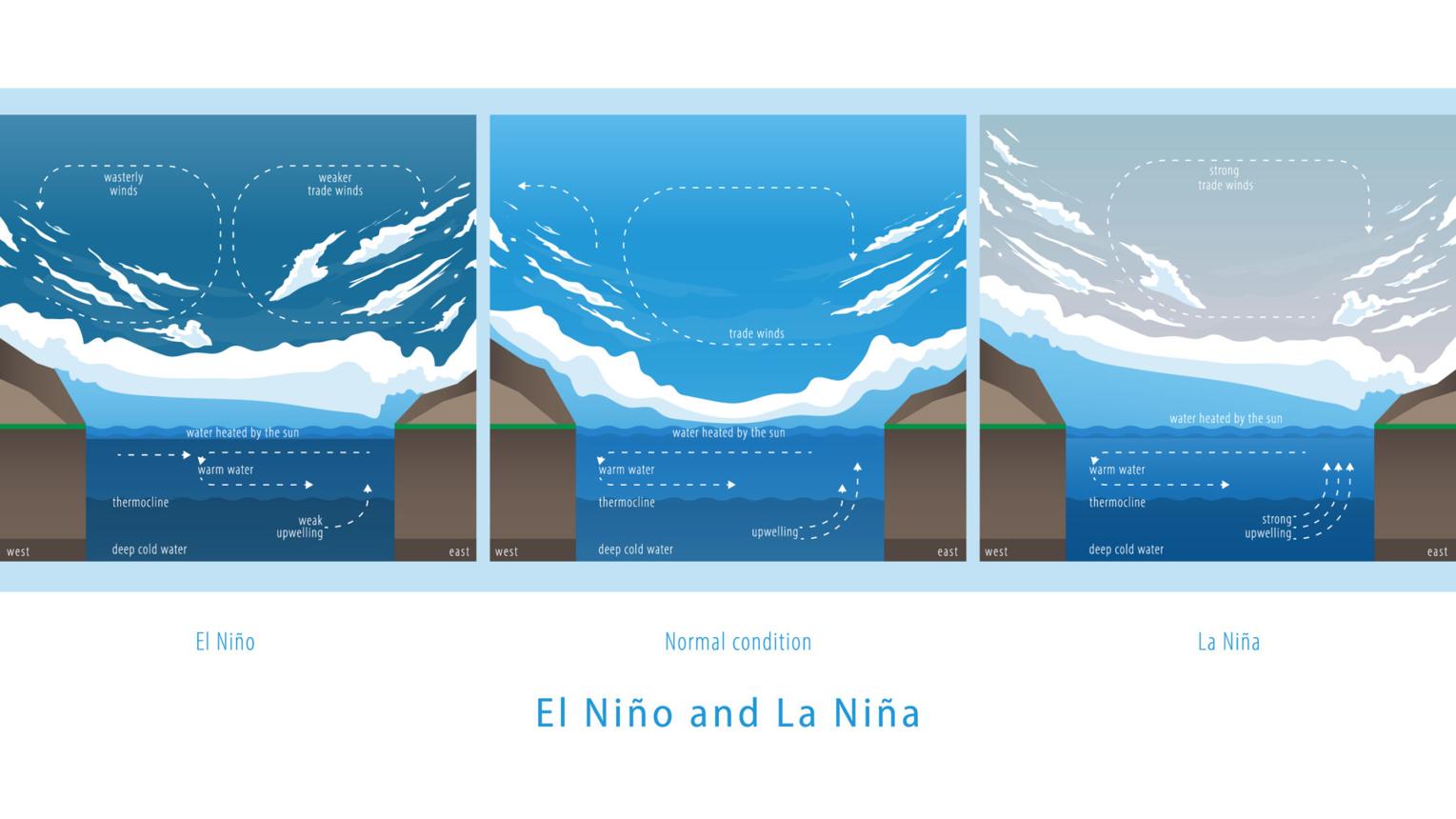 El Ni&ntilde;o and La Ni&ntilde;a dynamics.